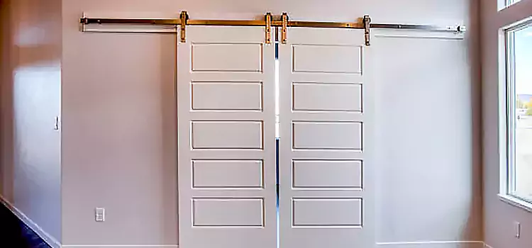 Glass Barn Door with Installation Hardware Kit Casa Grande